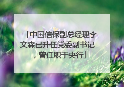 中国信保副总经理李文森已升任党委副书记，曾任职于央行