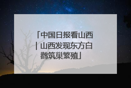 中国日报看山西｜山西发现东方白鹳筑巢繁殖