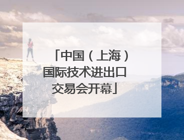 中国（上海）国际技术进出口交易会开幕