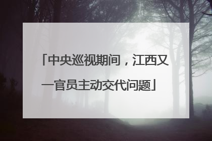 中央巡视期间，江西又一官员主动交代问题