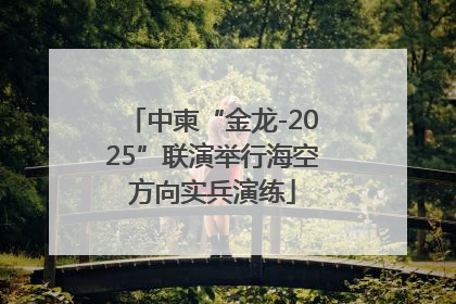 中柬“金龙-2025”联演举行海空方向实兵演练