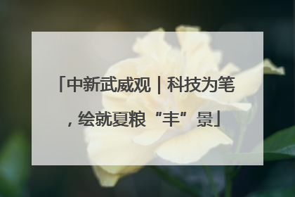 中新武威观｜科技为笔，绘就夏粮“丰”景