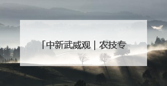 中新武威观｜农技专家田间地头“把脉开方”送“及时雨”