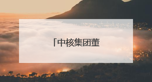 中核集团董事长调整
