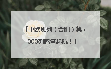 中欧班列（合肥）第5000列鸣笛起航！