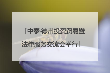 中泰·德州投资贸易暨法律服务交流会举行