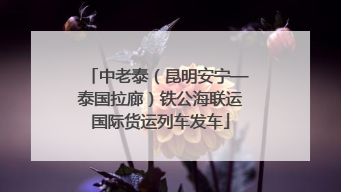 中老泰（昆明安宁—泰国拉廊）铁公海联运国际货运列车发车