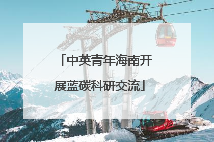 中英青年海南开展蓝碳科研交流