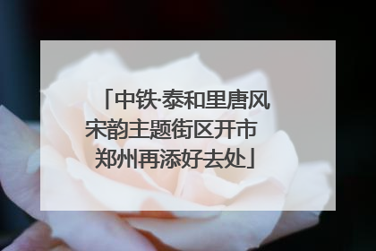 中铁·泰和里唐风宋韵主题街区开市 郑州再添好去处