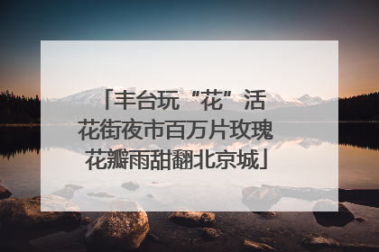 丰台玩“花”活 花街夜市百万片玫瑰花瓣雨甜翻北京城