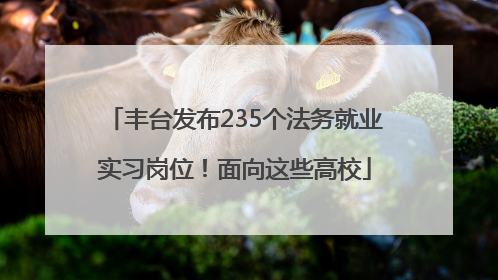 丰台发布235个法务就业实习岗位！面向这些高校