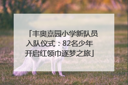 丰奥嘉园小学新队员入队仪式：82名少年开启红领巾逐梦之旅