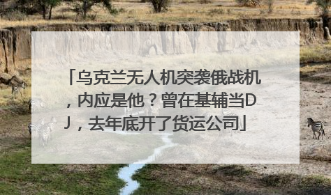 乌克兰无人机突袭俄战机,内应是他?曾在基辅当DJ,去年底开了货运公司
