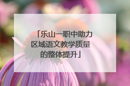 乐山一职中助力区域语文教学质量的整体提升