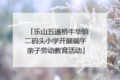 乐山五通桥牛华镇二码头小学开展端午亲子劳动教育活动
