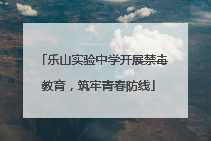 乐山实验中学开展禁毒教育，筑牢青春防线