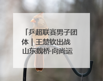 乒超联赛男子团体｜王楚钦出战 山东魏桥·向尚运动胜四川丰谷