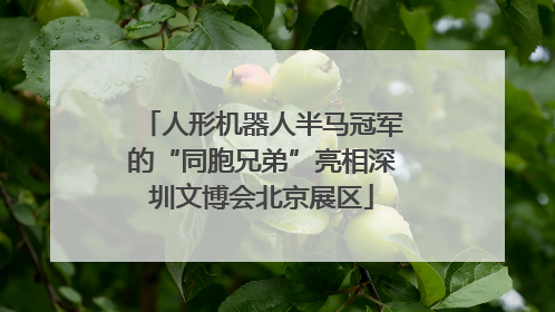 人形机器人半马冠军的“同胞兄弟”亮相深圳文博会北京展区