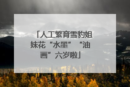 人工繁育雪豹姐妹花“水墨”“油画”六岁啦