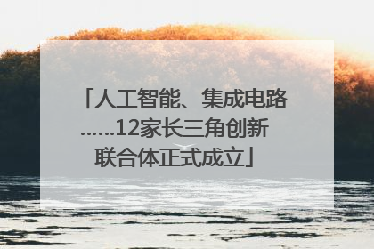 人工智能、集成电路……12家长三角创新联合体正式成立
