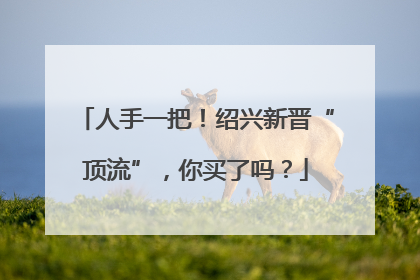 人手一把！绍兴新晋“顶流”，你买了吗？