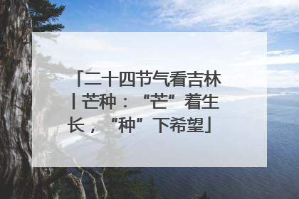 二十四节气看吉林丨芒种：“芒”着生长，“种”下希望