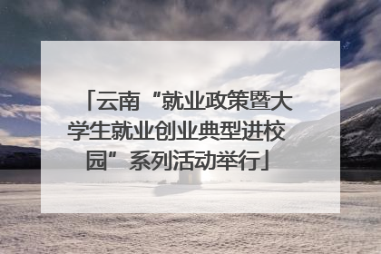 云南“就业政策暨大学生就业创业典型进校园”系列活动举行
