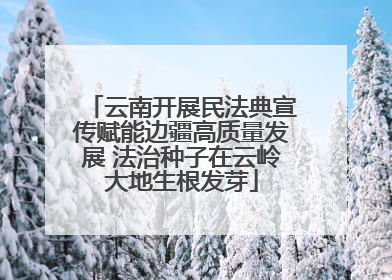 云南开展民法典宣传赋能边疆高质量发展 法治种子在云岭大地生根发芽