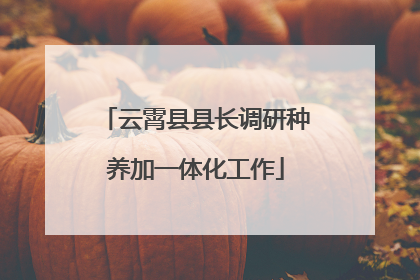 云霄县县长调研种养加一体化工作