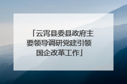 云霄县委县政府主要领导调研党建引领国企改革工作