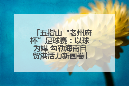 五指山“老州府杯”足球赛：以球为媒 勾勒海南自贸港活力新画卷