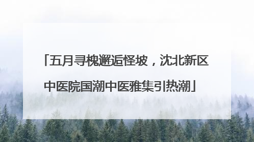 五月寻槐邂逅怪坡，沈北新区中医院国潮中医雅集引热潮
