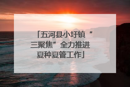 五河县小圩镇“三聚焦”全力推进夏种夏管工作