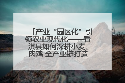 产业“园区化”引领农业现代化——看淇县如何深耕小麦、肉鸡 全产业链打造现代农业产业园