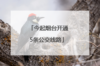 今起烟台开通5条公交线路