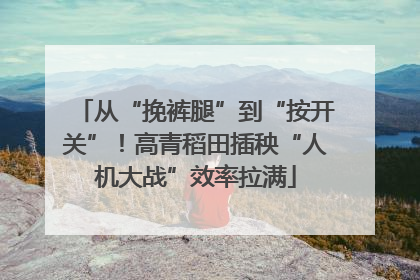 从“挽裤腿”到“按开关”！高青稻田插秧“人机大战”效率拉满