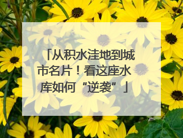 从积水洼地到城市名片！看这座水库如何“逆袭”