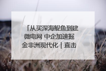 从买深海鳀鱼到建微电网 中企加速掘金非洲现代化｜直击中非经贸博览会