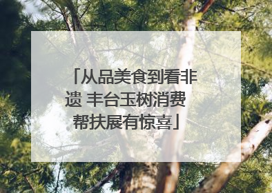 从品美食到看非遗 丰台玉树消费帮扶展有惊喜