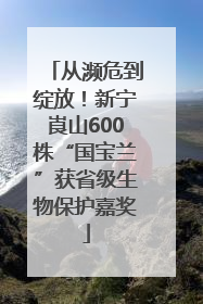 从濒危到绽放！新宁崀山600株“国宝兰”获省级生物保护嘉奖