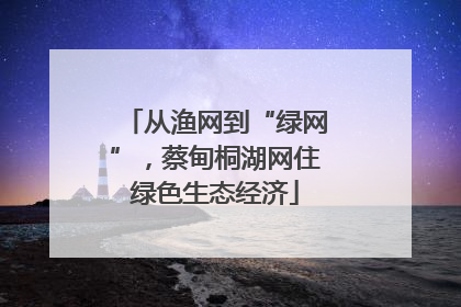 从渔网到“绿网”，蔡甸桐湖网住绿色生态经济