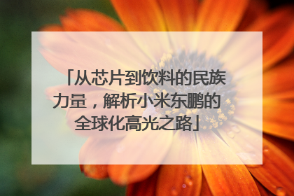 从芯片到饮料的民族力量，解析小米东鹏的全球化高光之路