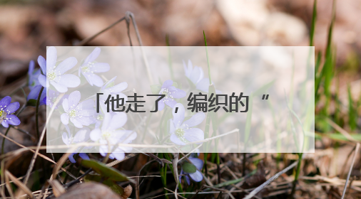 他走了，编织的“数据天网”仍在守护大城平安——追记武汉市公安局因公牺牲民警万松