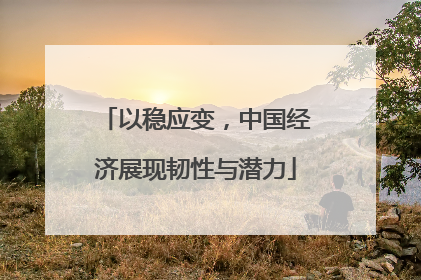 以稳应变，中国经济展现韧性与潜力