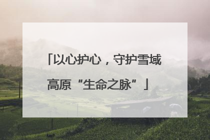 以心护心，守护雪域高原“生命之脉”