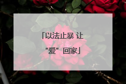 以法止暴 让“爱”回家