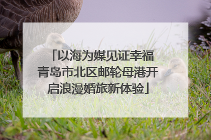 以海为媒见证幸福 青岛市北区邮轮母港开启浪漫婚旅新体验