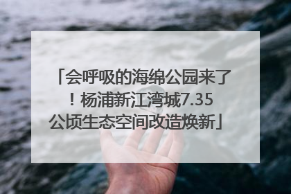 会呼吸的海绵公园来了！杨浦新江湾城7.35公顷生态空间改造焕新