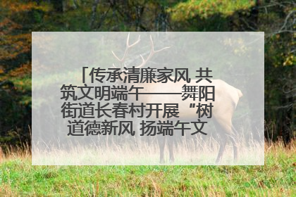 传承清廉家风 共筑文明端午——舞阳街道长春村开展“树道德新风 扬端午文化”主题活动
