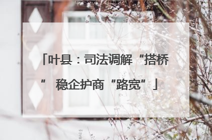 叶县：司法调解“搭桥” 稳企护商“路宽”
